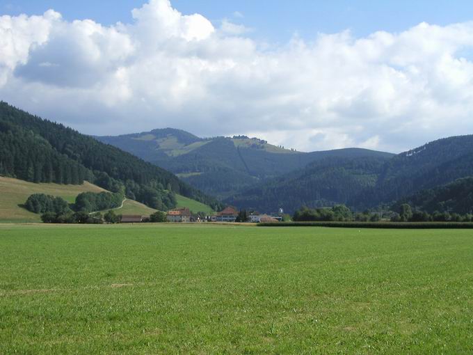 Buchenbach im Dreisamtal