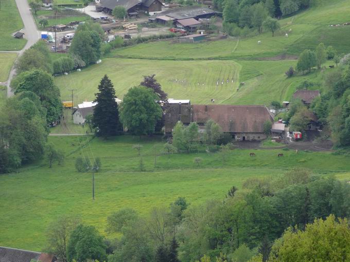 Buchenbach im Dreisamtal