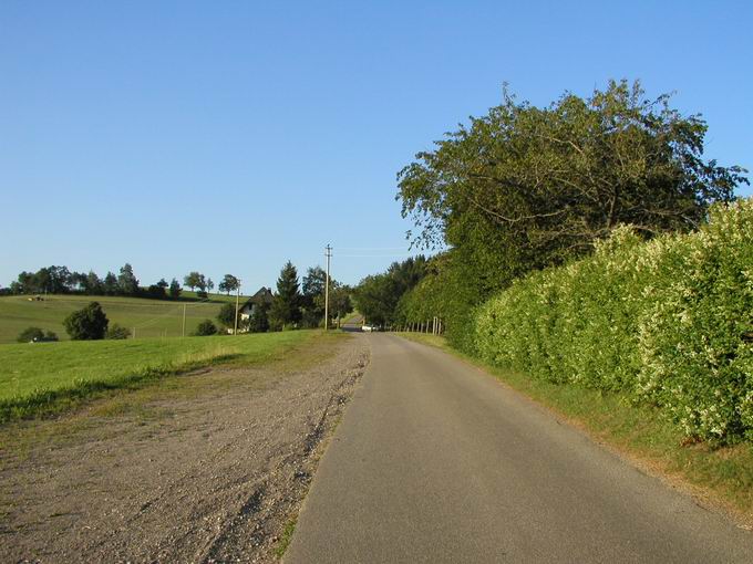 Buchenbach im Dreisamtal