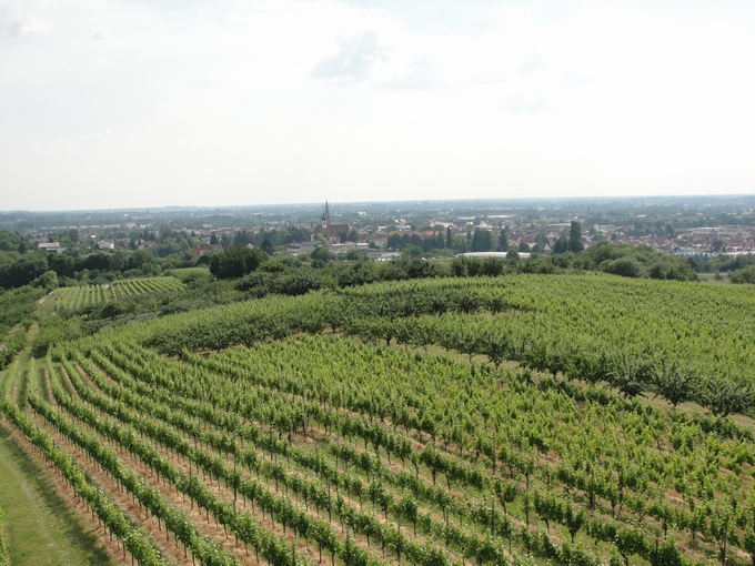 Bhl Stadt