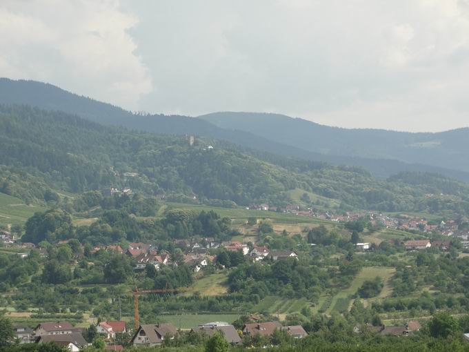 Carl-Netter-Aussichtsturm: Blick Altwindeck