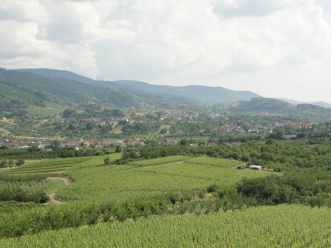 Carl-Netter-Aussichtsturm: Blick Nordschwarzwald