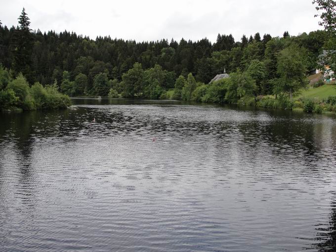 Klosterweiher Dachsberg