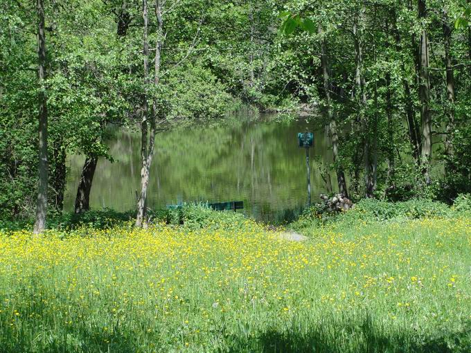 Heidachsee Denzlingen