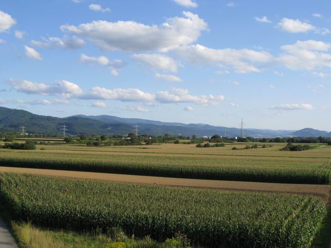 Herrenwegbrcke: Blick Schauinsland