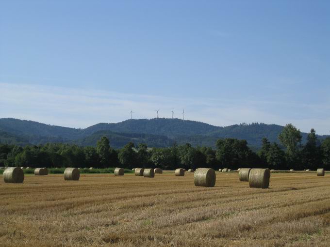 Rosskopf bei Freiburg