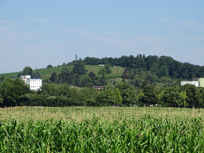 Sonnhalde Denzlingen