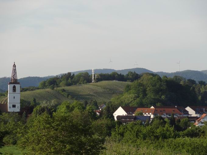 Sonnhaldenbuck Denzlingen