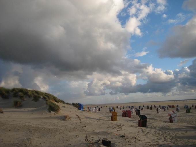 Amrum