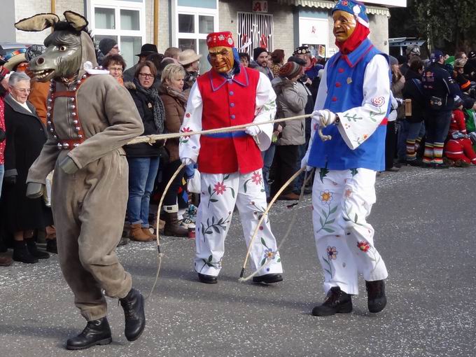 Narrentreffen Hausach 2014