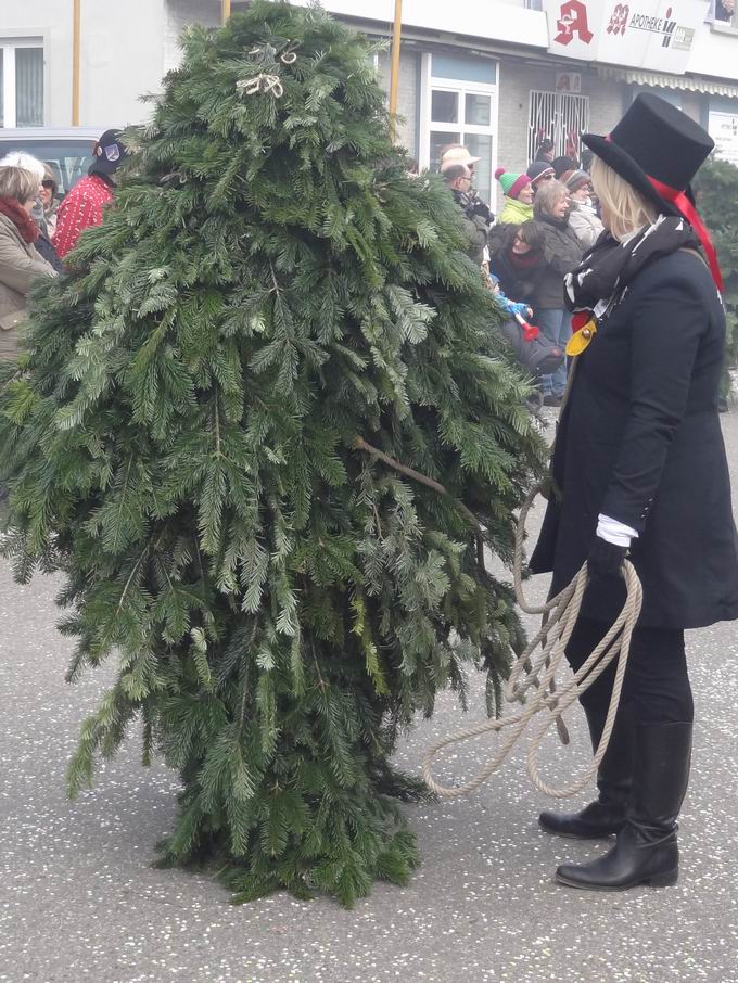 Narrentreffen Hausach 2014