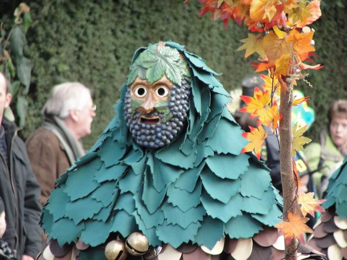 Umzug Oberkirch Narrentreffen 2011