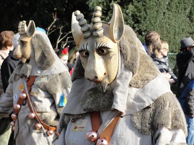 Freie Narrenzunft Philippsburg die Geese