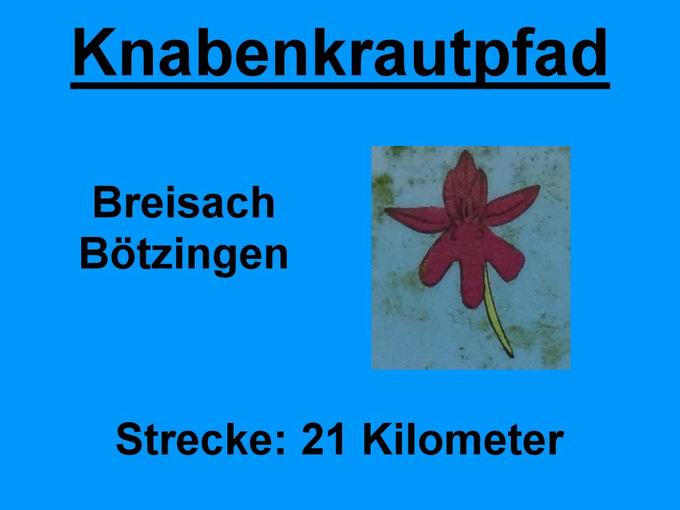 Knabenkrautpfad Kaiserstuhl