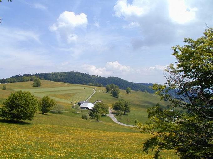 Schauinsland