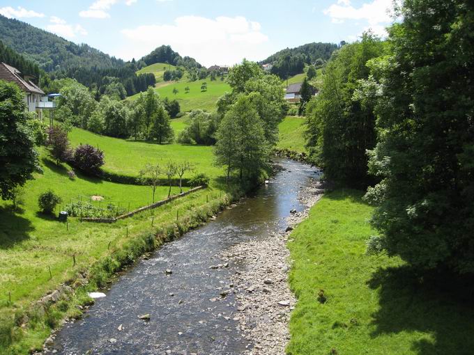 Fluss Wiese im Sdschwarzwald