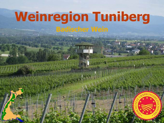 Badischer Wein: Weinregion Tuniberg