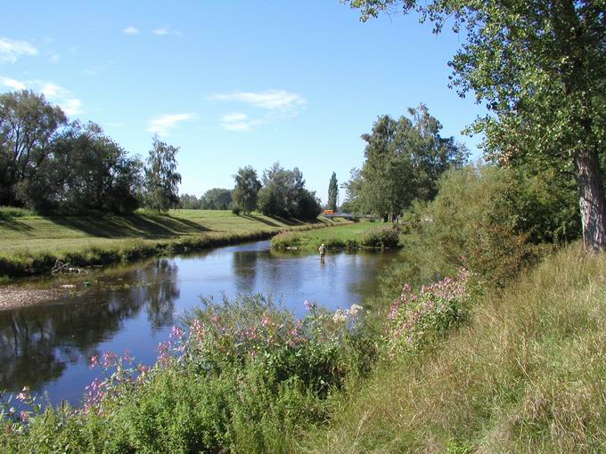 Brigach und Breg Zusammenfluss