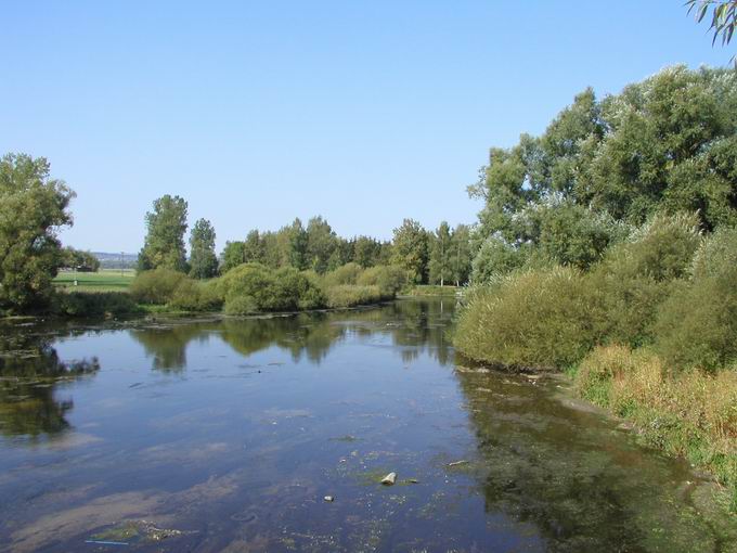 Donaubrcke Pfohren: Nordblick