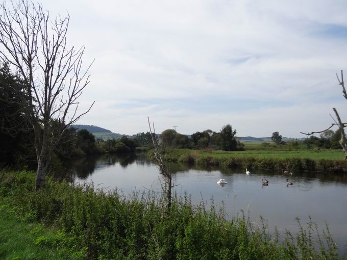 Donau in Neudingen