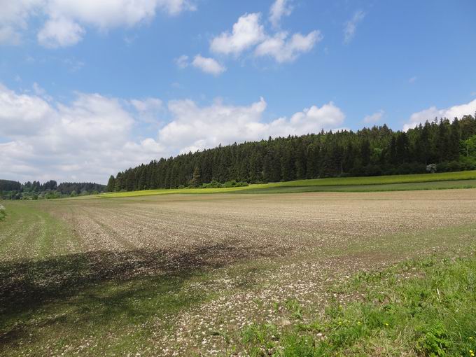 Staffelberg (757m)