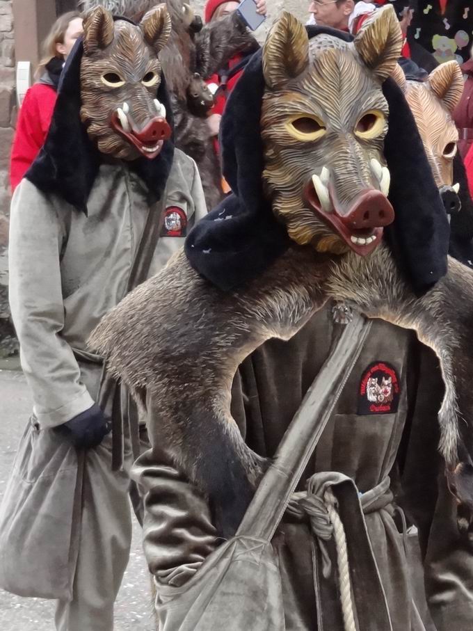 Fasnachtsumzug March 2009