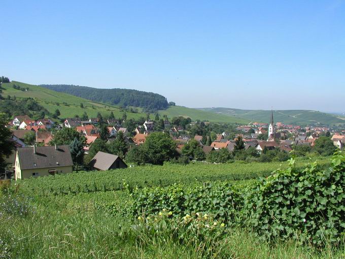 Schnberg im Breisgau