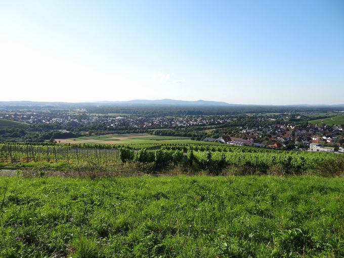 Ebringen im Breisgau