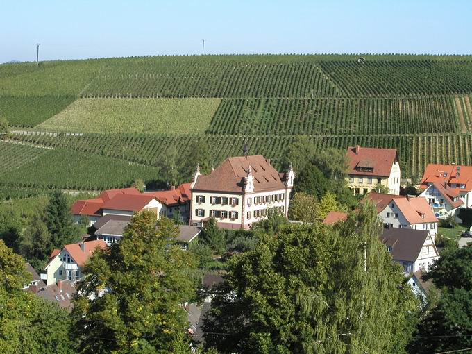 Ebringer Schloss