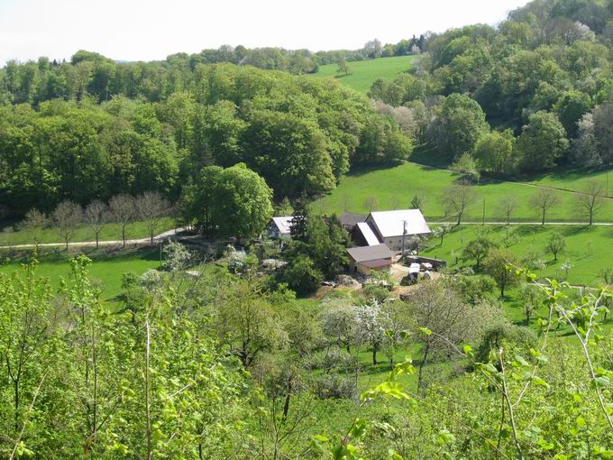 Gasthaus Schnberghof Ebringen