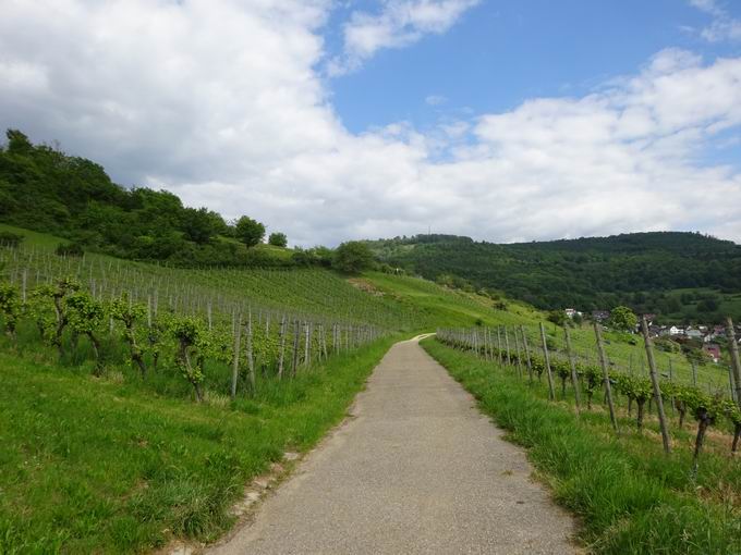 Hammerstdleweg Ebringen