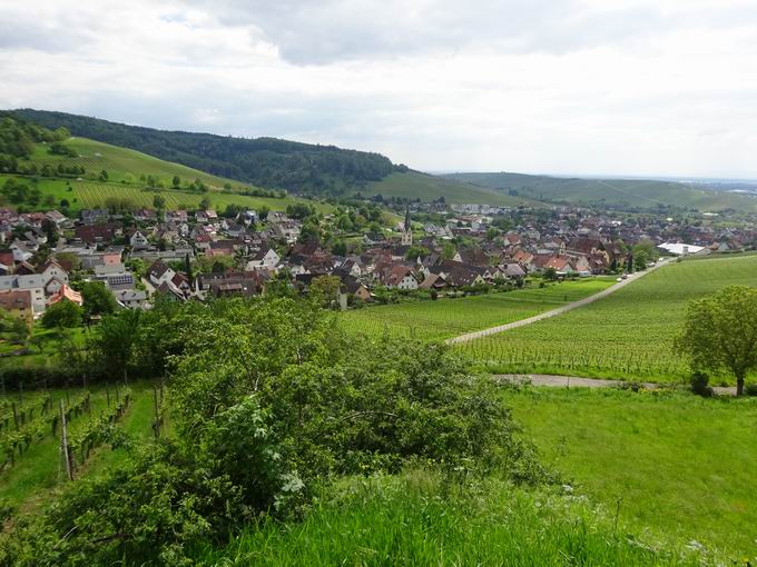 Aussichtspunkt Hammerstdleweg: Blick Ebringen