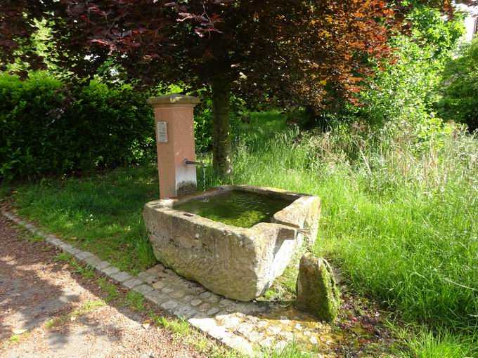 Hornberg Brunnen Ebringen