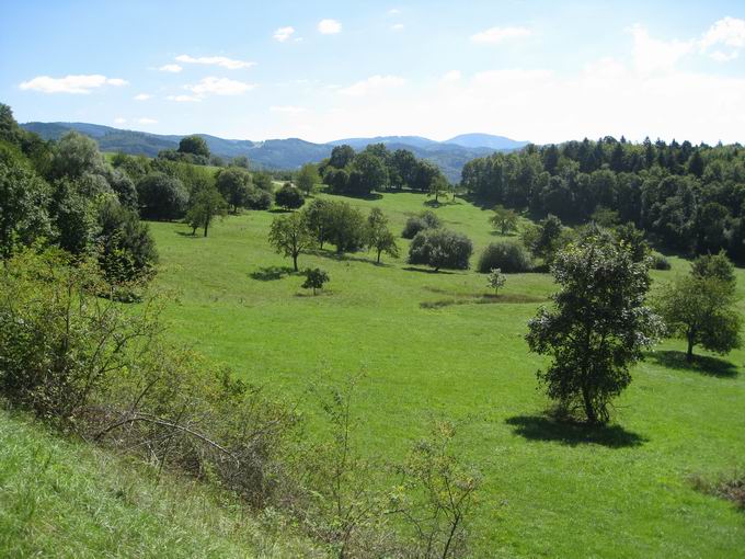 Naturschutzgebiet Berghauser Matten