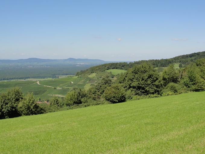 Naturschutzgebiet Berghauser Matten: Blick Bohl