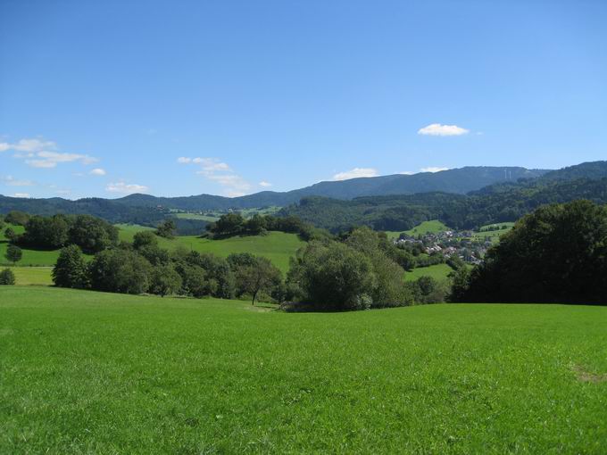 Naturschutzgebiet Berghauser Matten: Horben