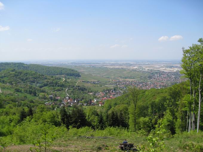 Schneeburg (Ebringen): Westblick