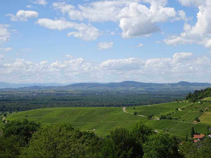 Schönbergstraße Ebringen: Kaiserstuhl