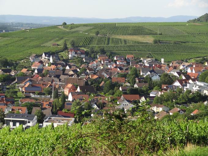 Ebringen im Breisgau