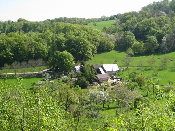 Unterer Schnberghof Ebringen