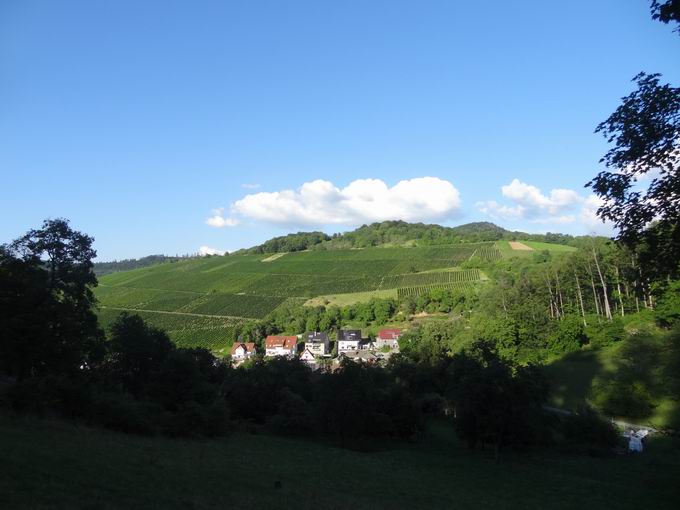 Schnberg im Breisgau