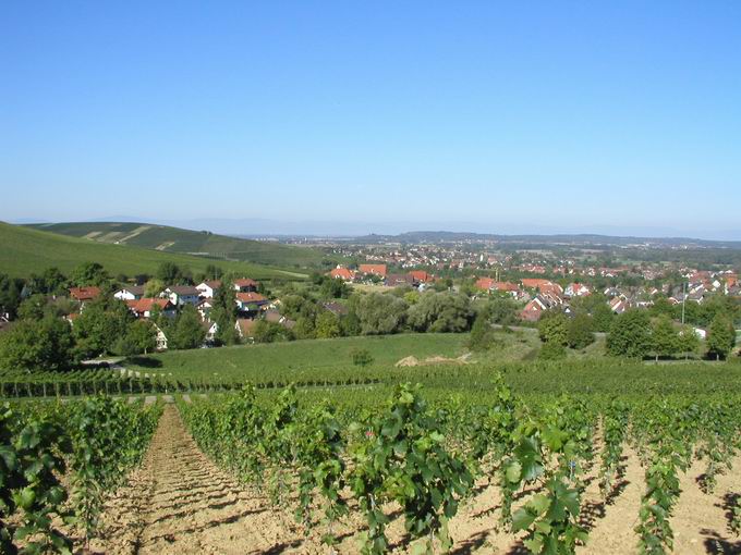 Ebringen im Breisgau