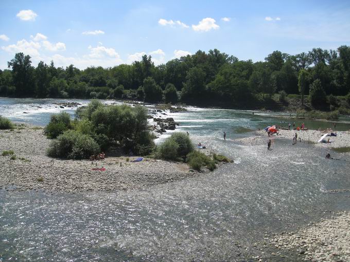 Istein zwischen Reben und Rhein