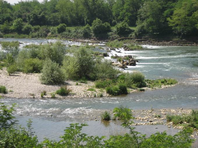 Istein zwischen Reben und Rhein