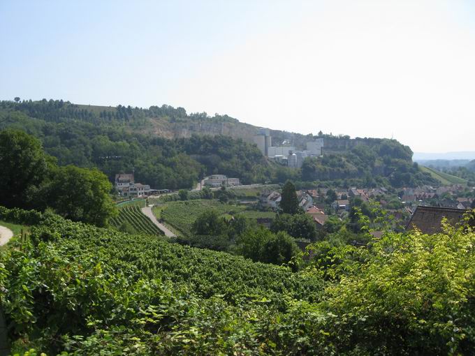 Istein zwischen Reben und Rhein