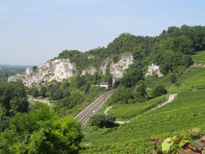 Istein zwischen Reben und Rhein