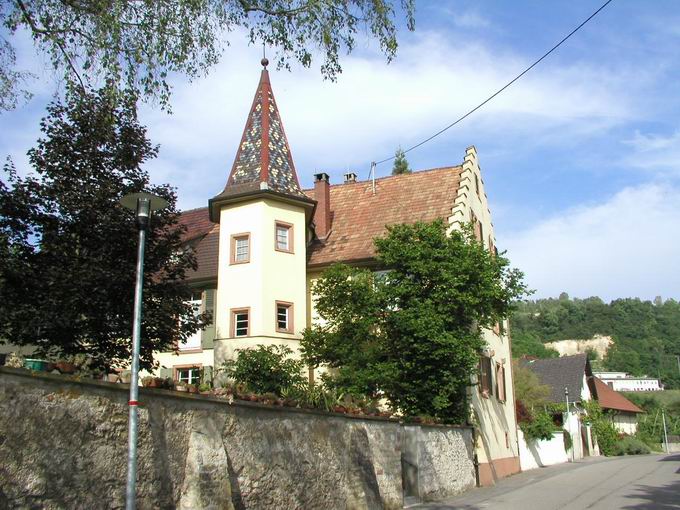 Istein zwischen Reben und Rhein