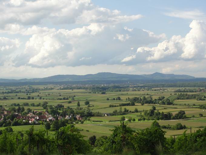 Batzenberg: Blick Kaiserstuhl