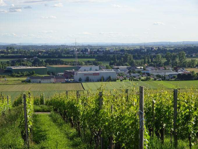 Batzenberg