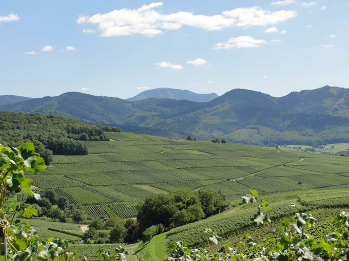 Kirchberg Ehrenkirchen: Belchen